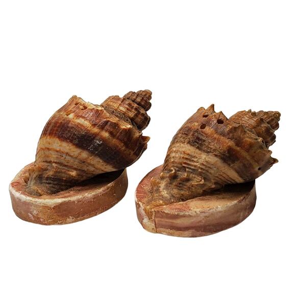 Seashell Salt and Pepper Shakers Vintage Souvenir of Corpus Christi TX - Picture 5 of 7